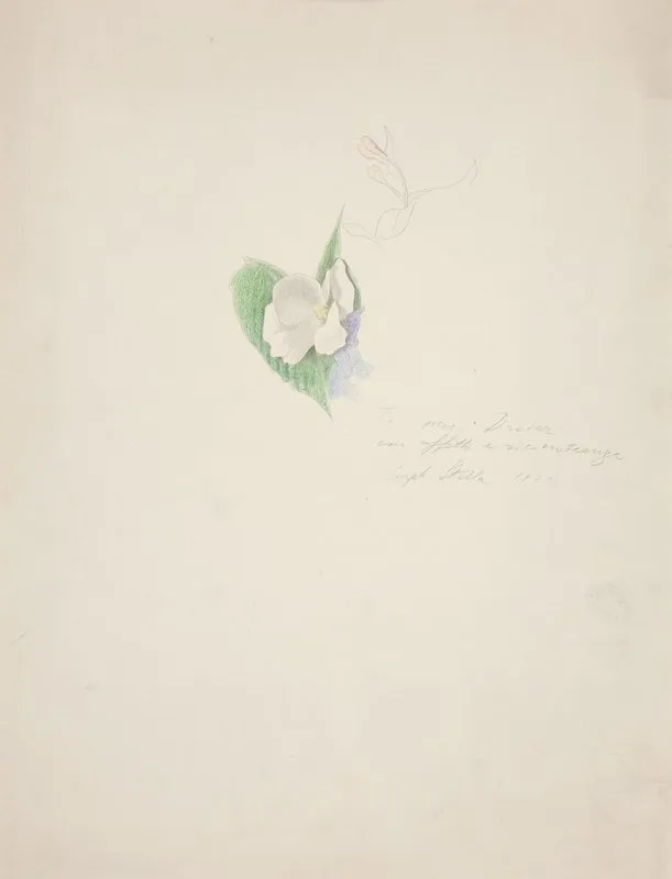 Flower 2 by Joseph Stella - Canvas Print