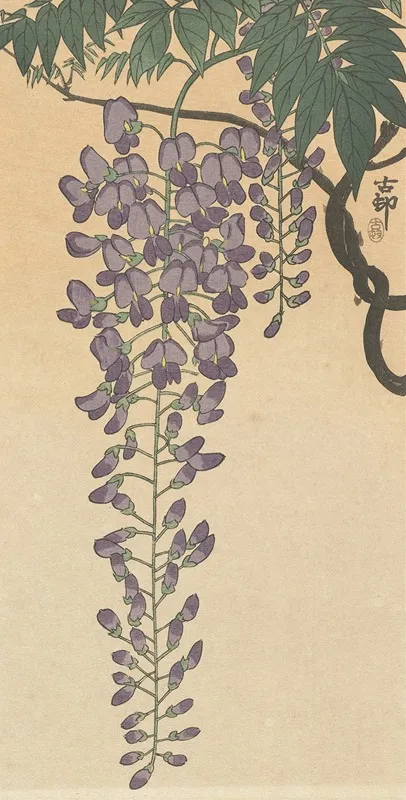 Flowering Wisteria by Ohara Koson - Canvas Print