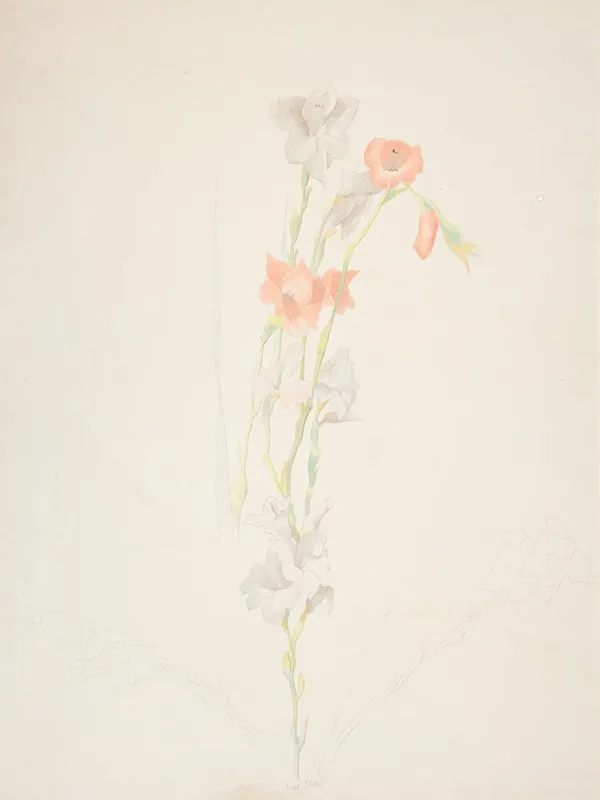 Flowers 28 by Joseph Stella - Canvas Print