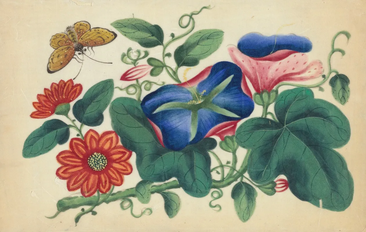 Flowers And Butterfly