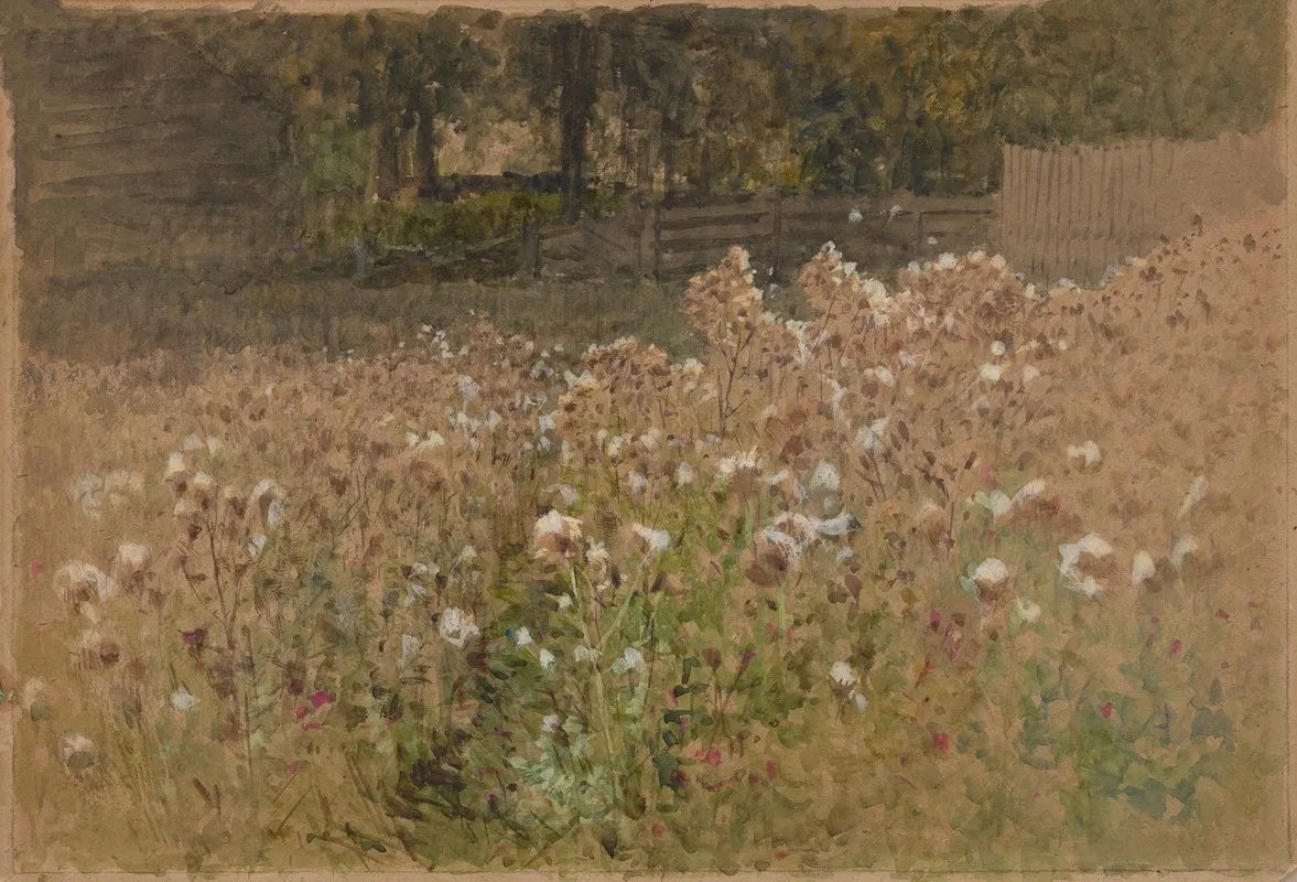 Flowers In Field
