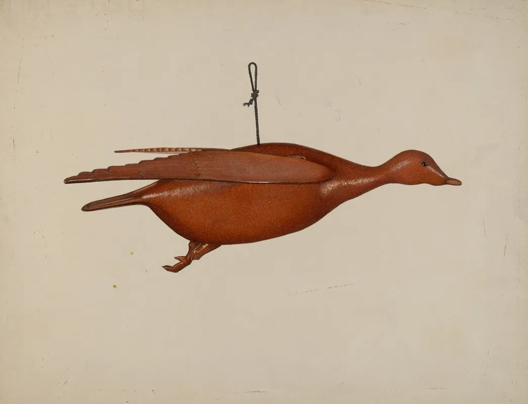 Flying Duck by Malcolm Hackney - Canvas Print