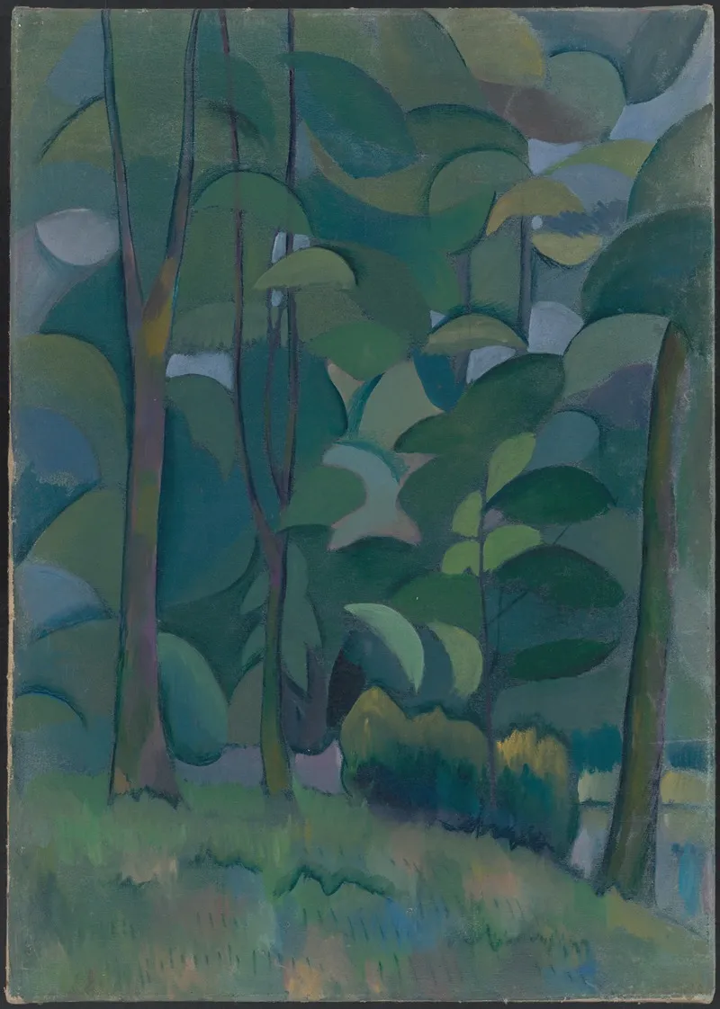 Forest 14