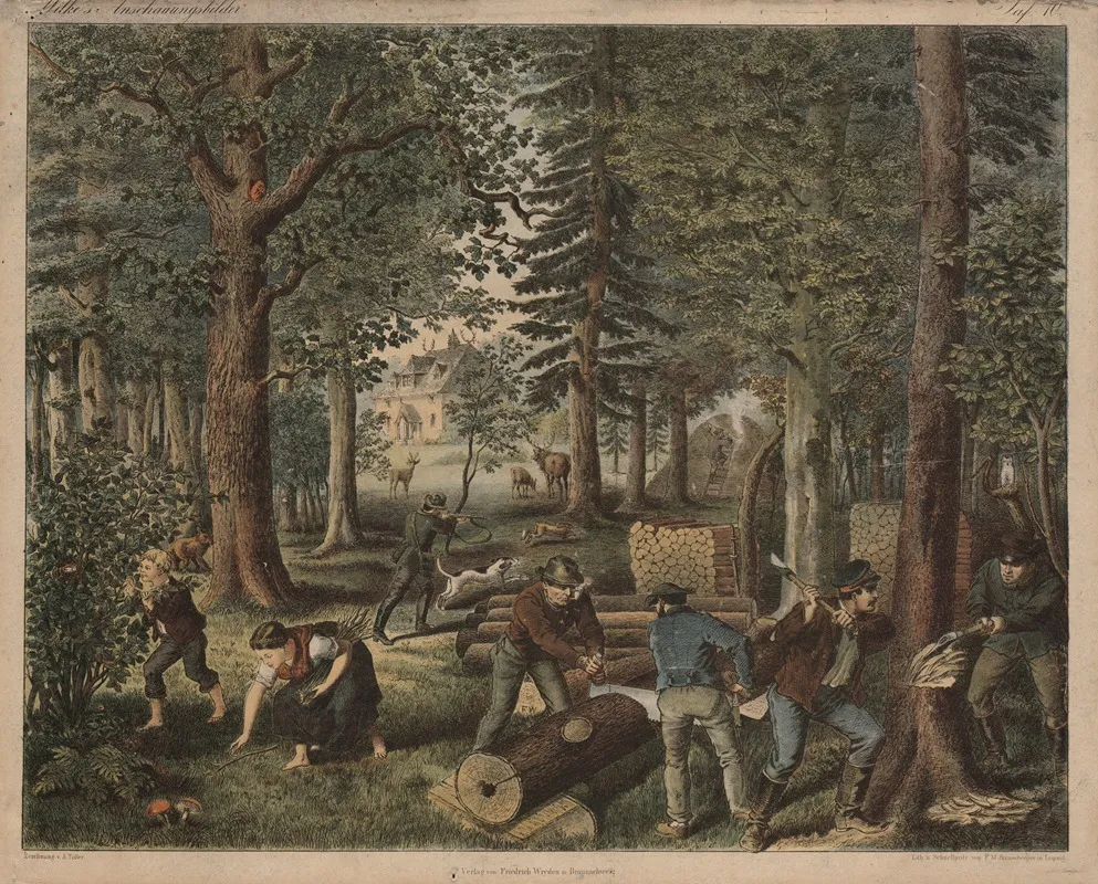 Forest 16 by A. Toller - Canvas Print