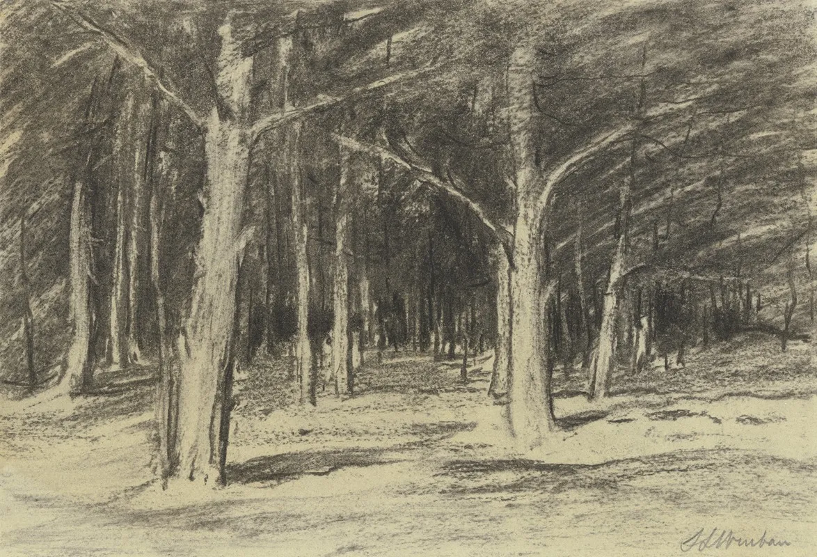 Forest 24 by Sion Longley Wenban - Canvas Print