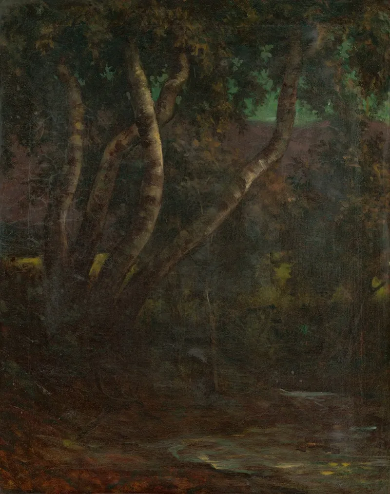 Forest 7