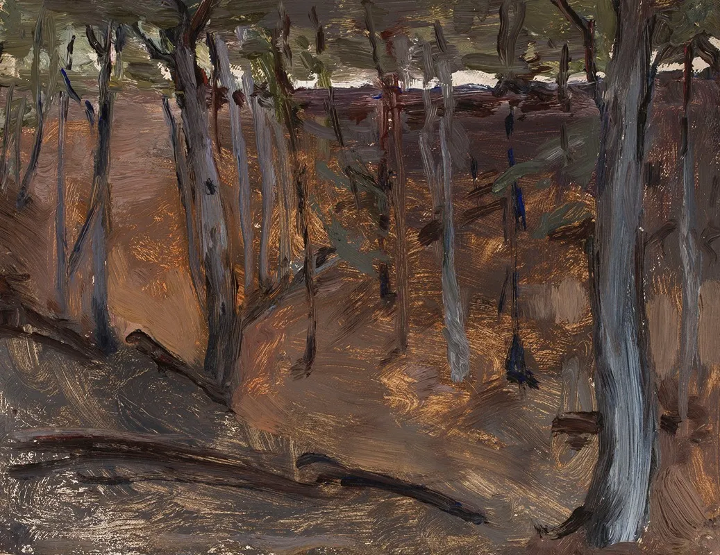 Forest Finland by Jan Ciągliński - Canvas Print