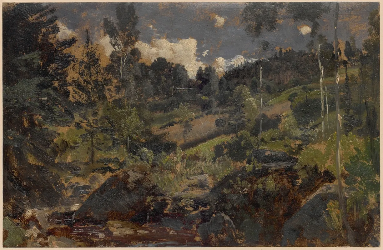 Forest Glade By A Mountain Stream