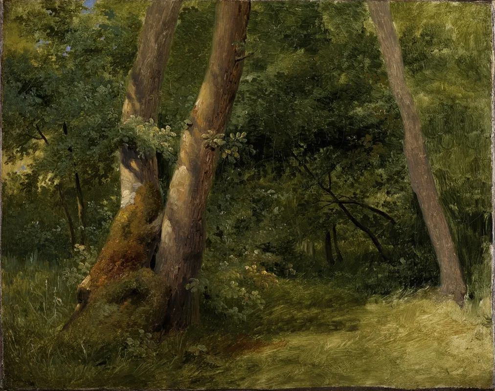 Forest Interior 5 by Achille Etna Michallon - Canvas Print