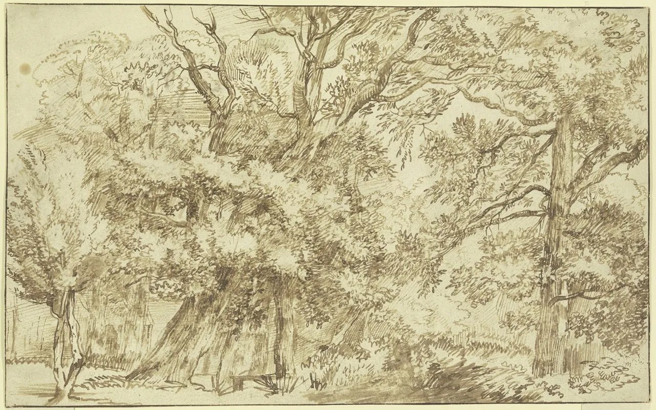 Forest Landscape 18