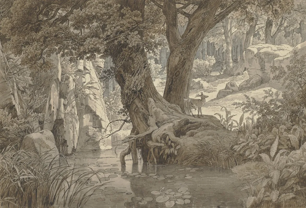 Forest Landscape 19