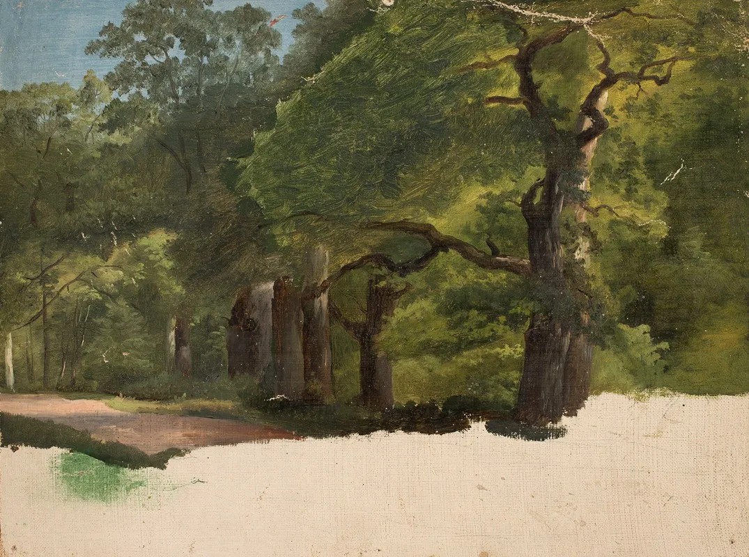 Forest Landscape Sketch by Chrystian Breslauer - Canvas Print