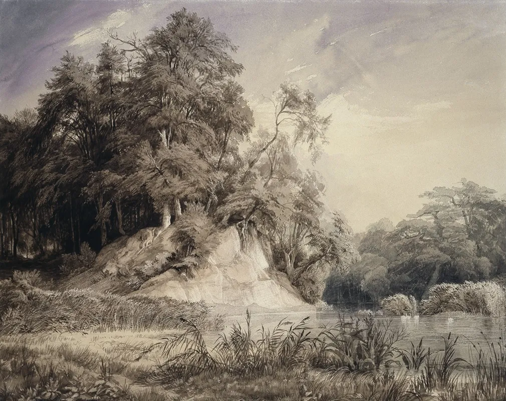 Forest Landscape With Lake And Swans