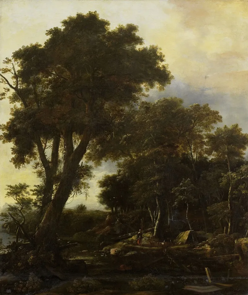 Forest Landscape With Lean To by Roelant Roghman - Canvas Print