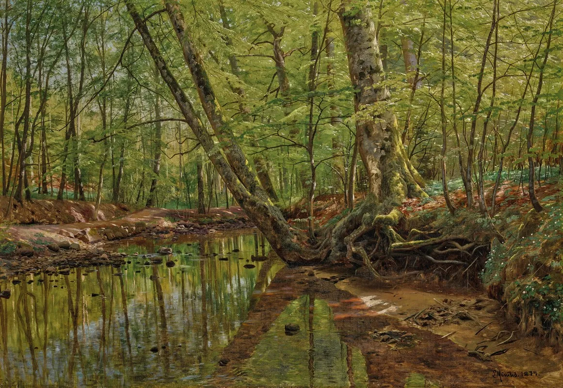 Forest Landscape With River