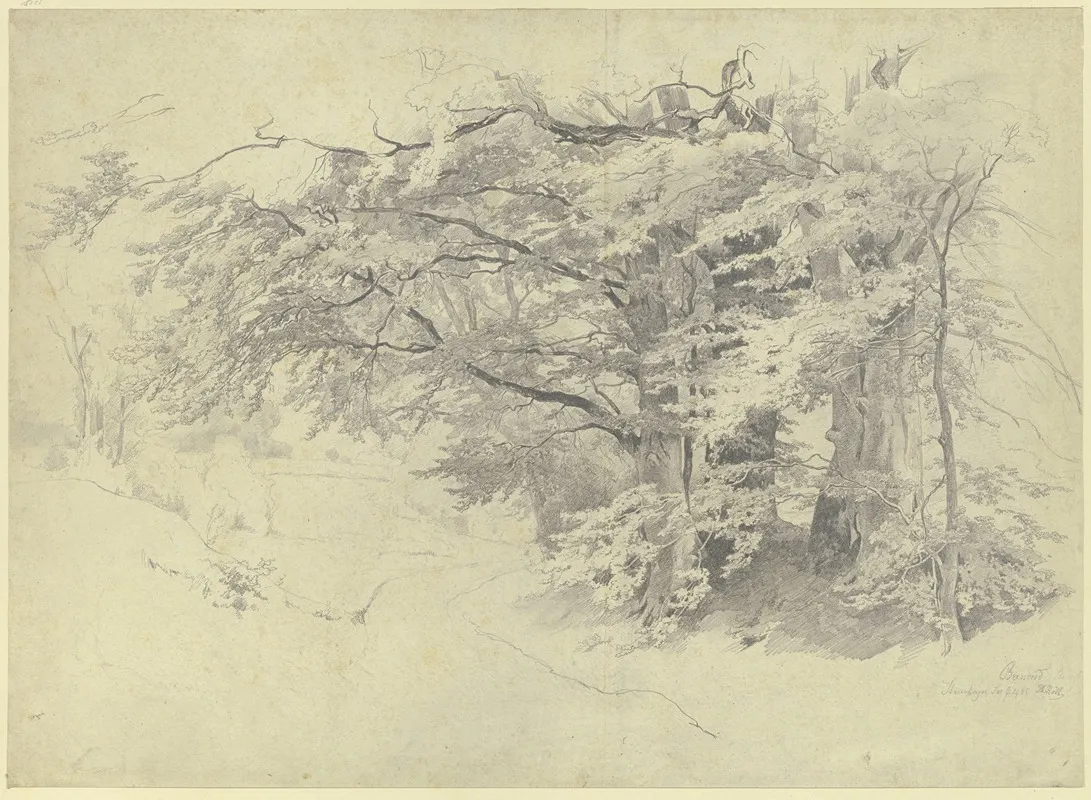 Forest Near Bernried by Philipp Röth - Canvas Print