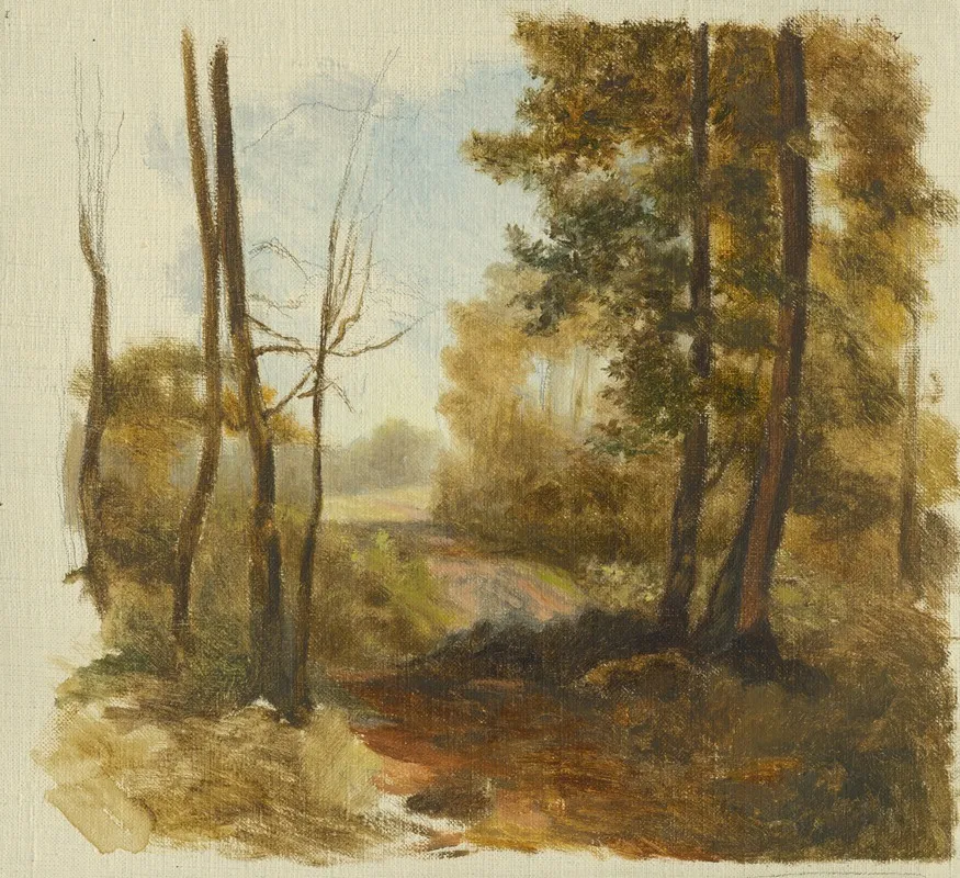 Forest Path by Jan Nowopacký - Canvas Print