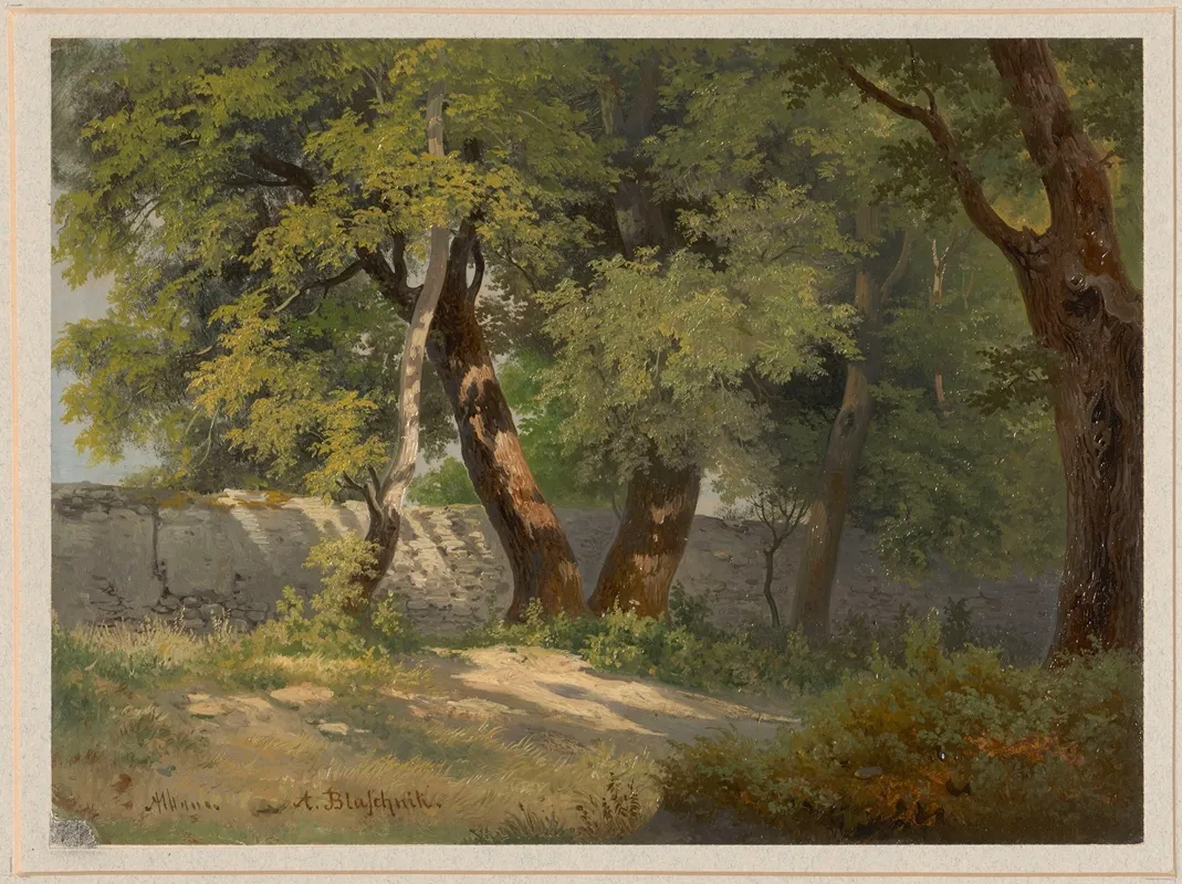 Forest Road In Albano