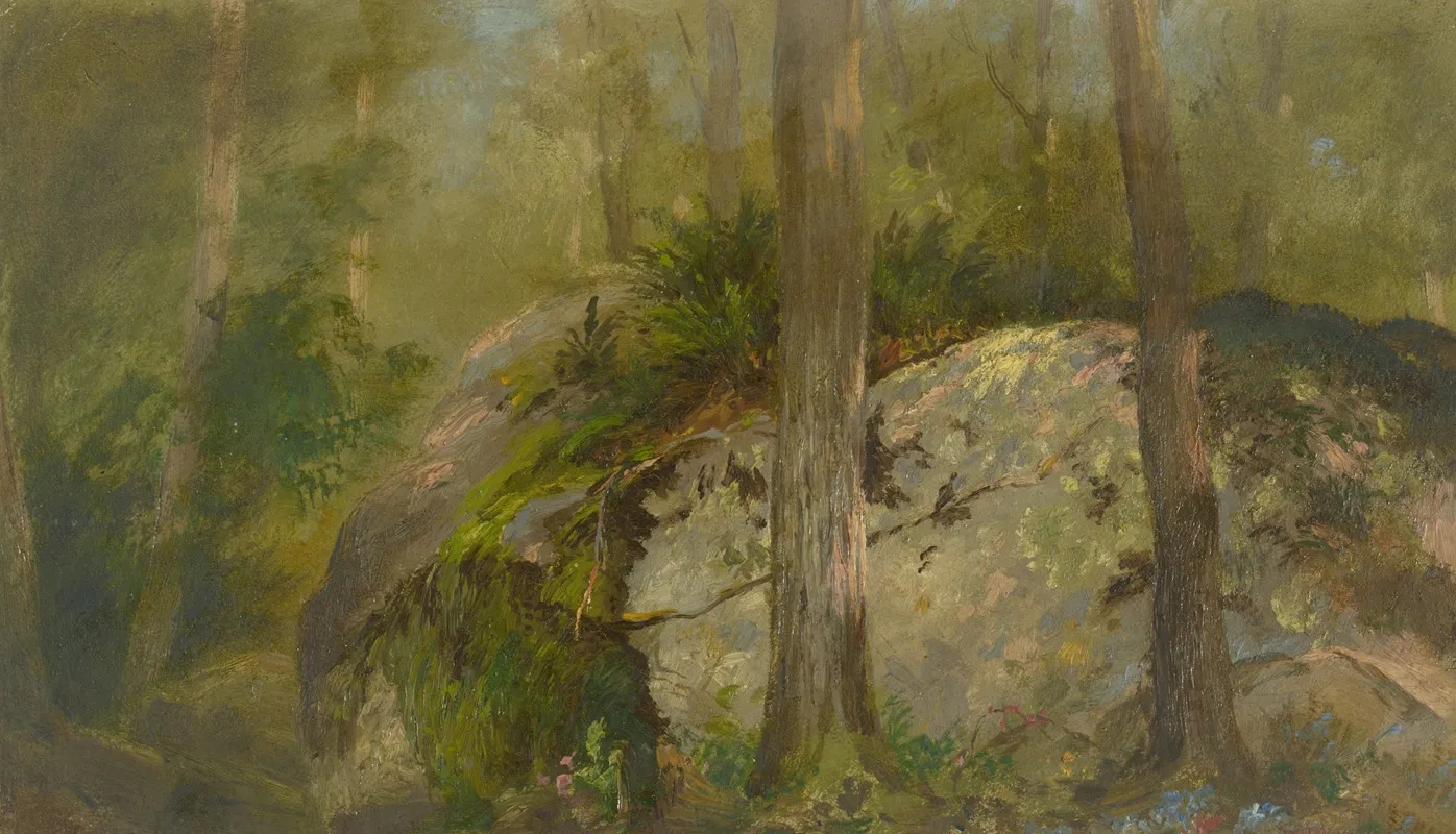 Forest Scene 8