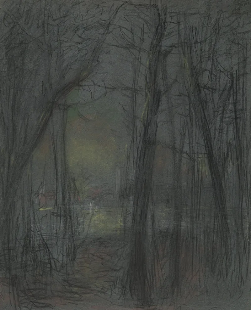 Forest Scene 9