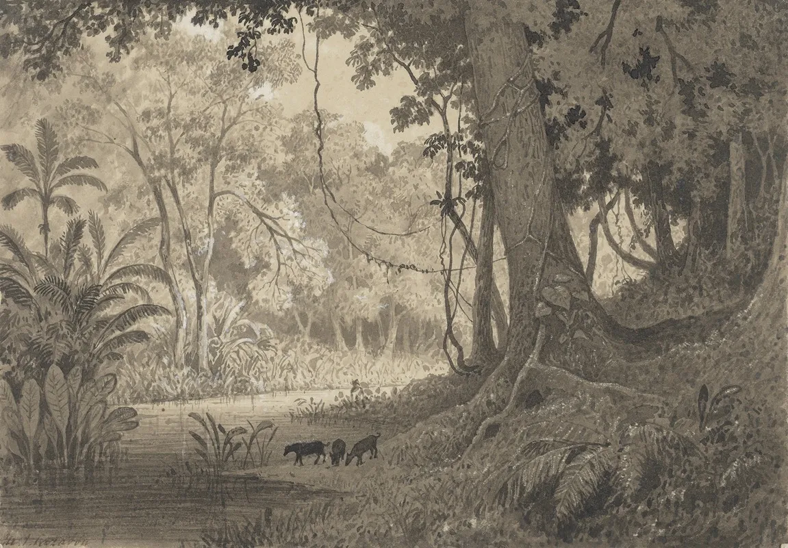 Forest Scenery Near Tamana by Michel Jean Cazabon - Canvas Print