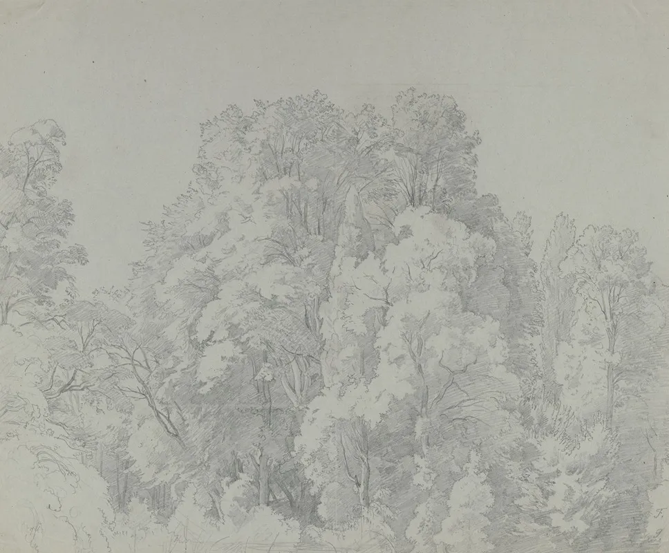 Forest Section 4