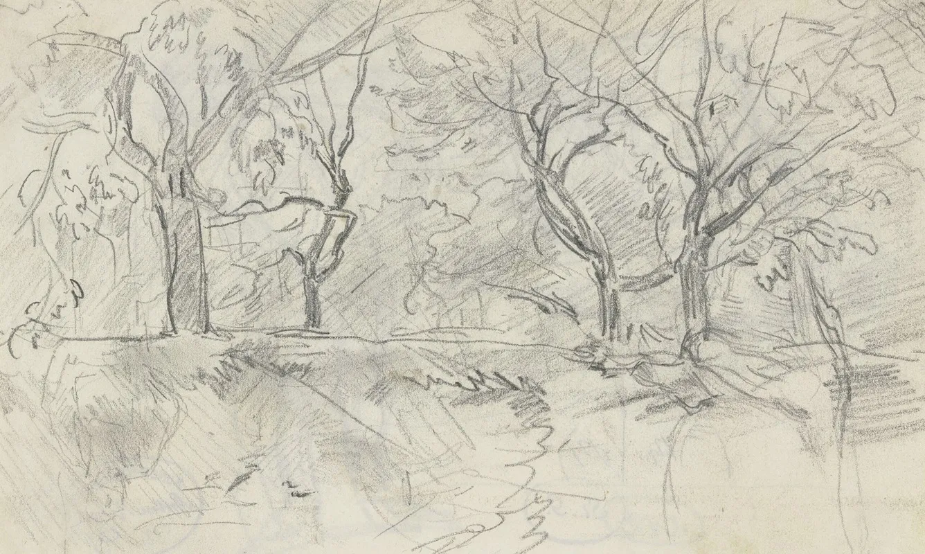 Forest Section