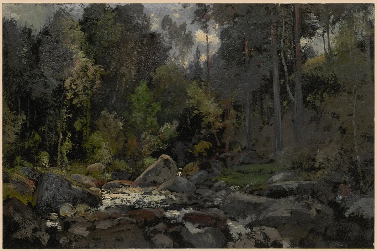 Forest Stream In Przesieka 2 by Adolf Dressler - Canvas Print