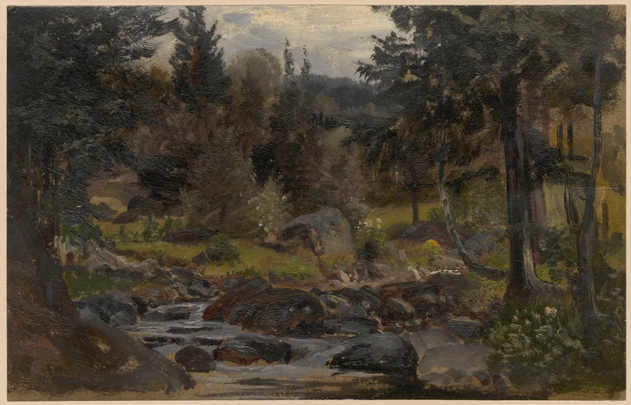 Forest Stream In Przesieka by Adolf Dressler - Canvas Print