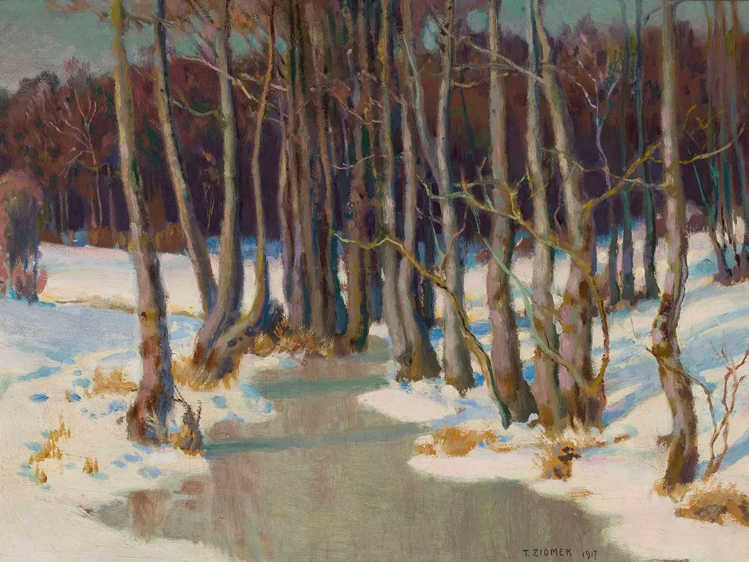 Forest Stream In Winter 2 by Teodor Ziomek - Canvas Print