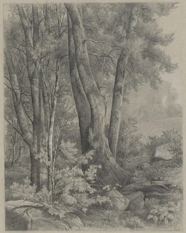 Forest Trees