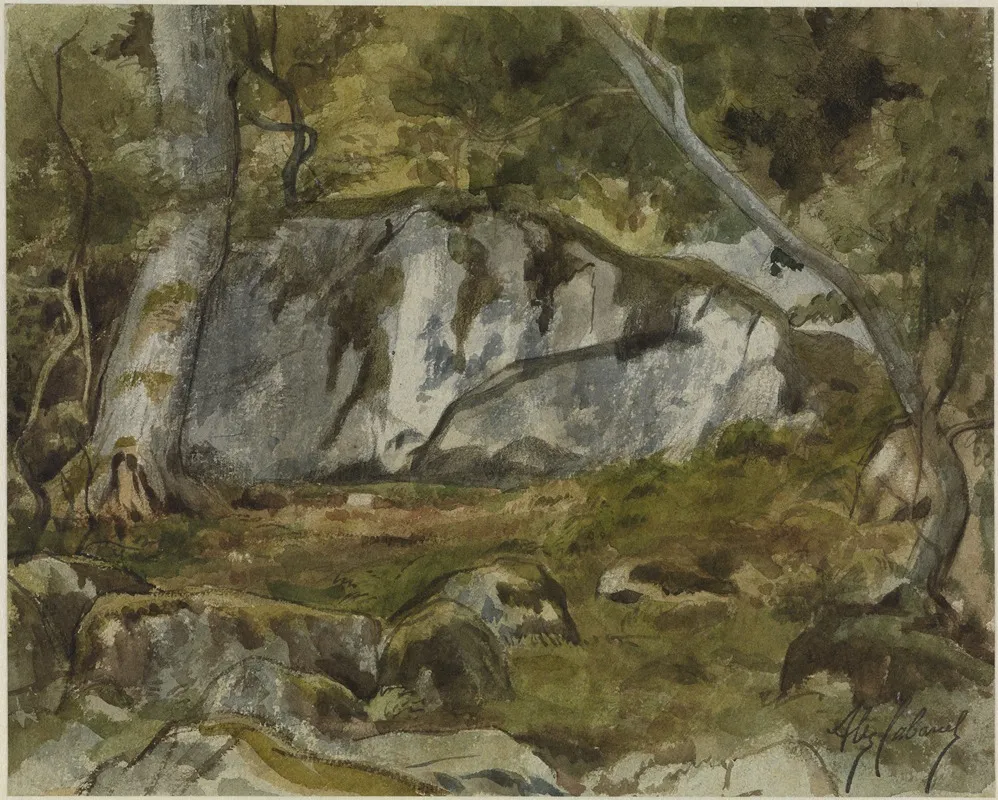 Forest With Boulders