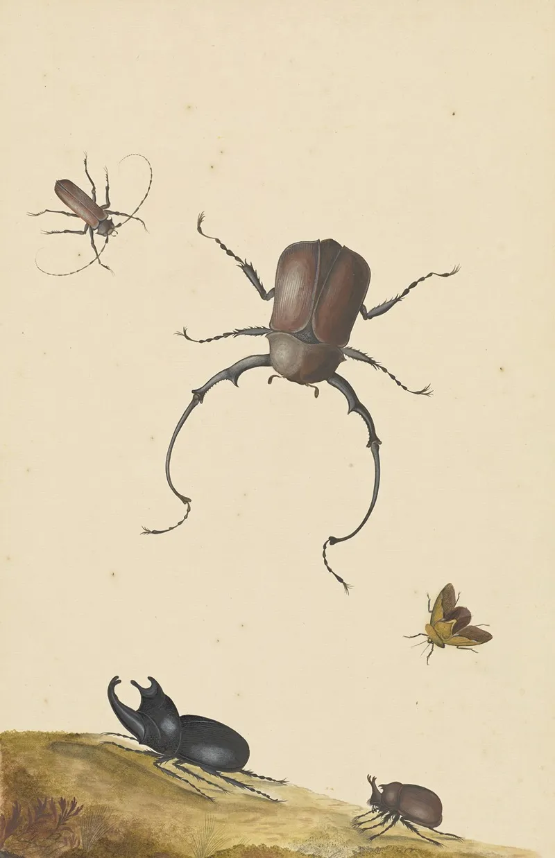 Four Beetles And A Flying Stink Bug