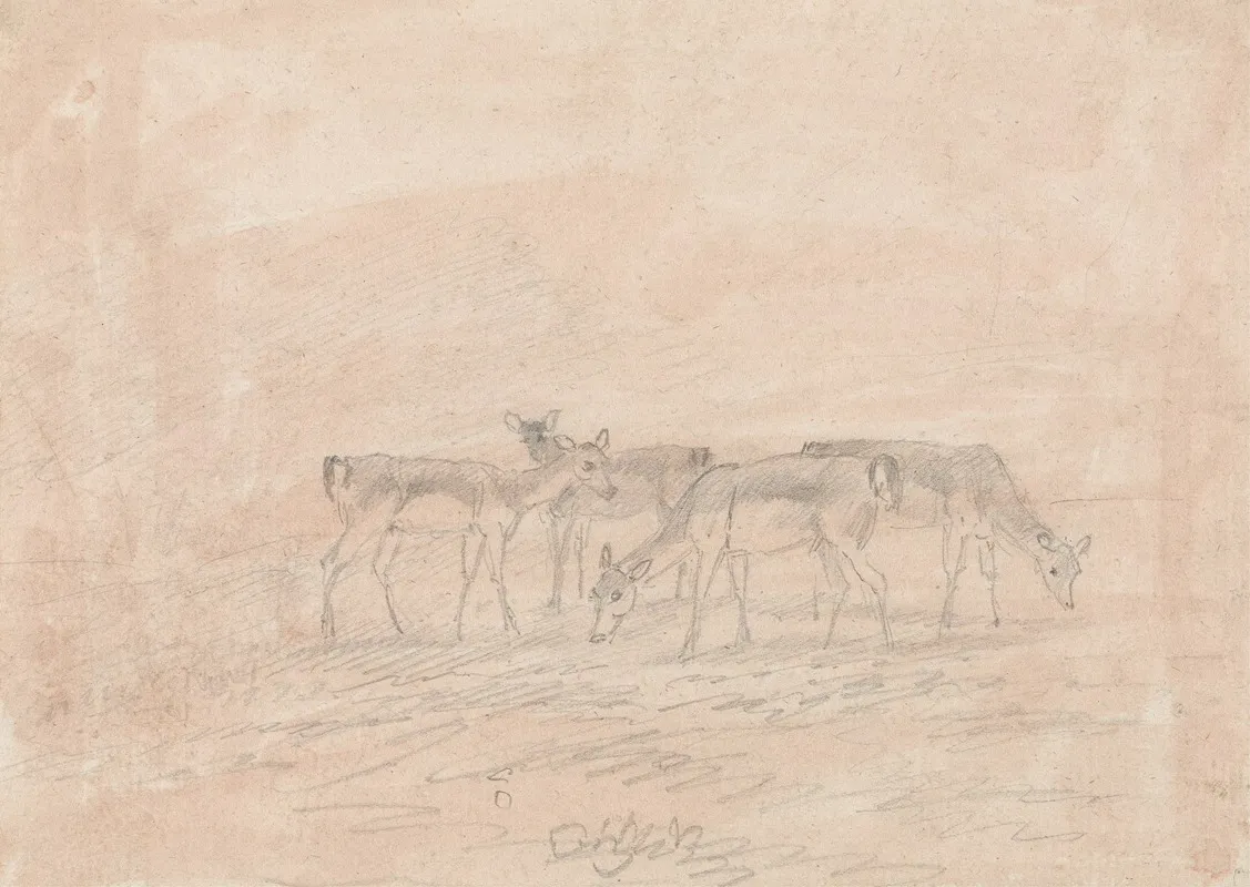 Four Deer
