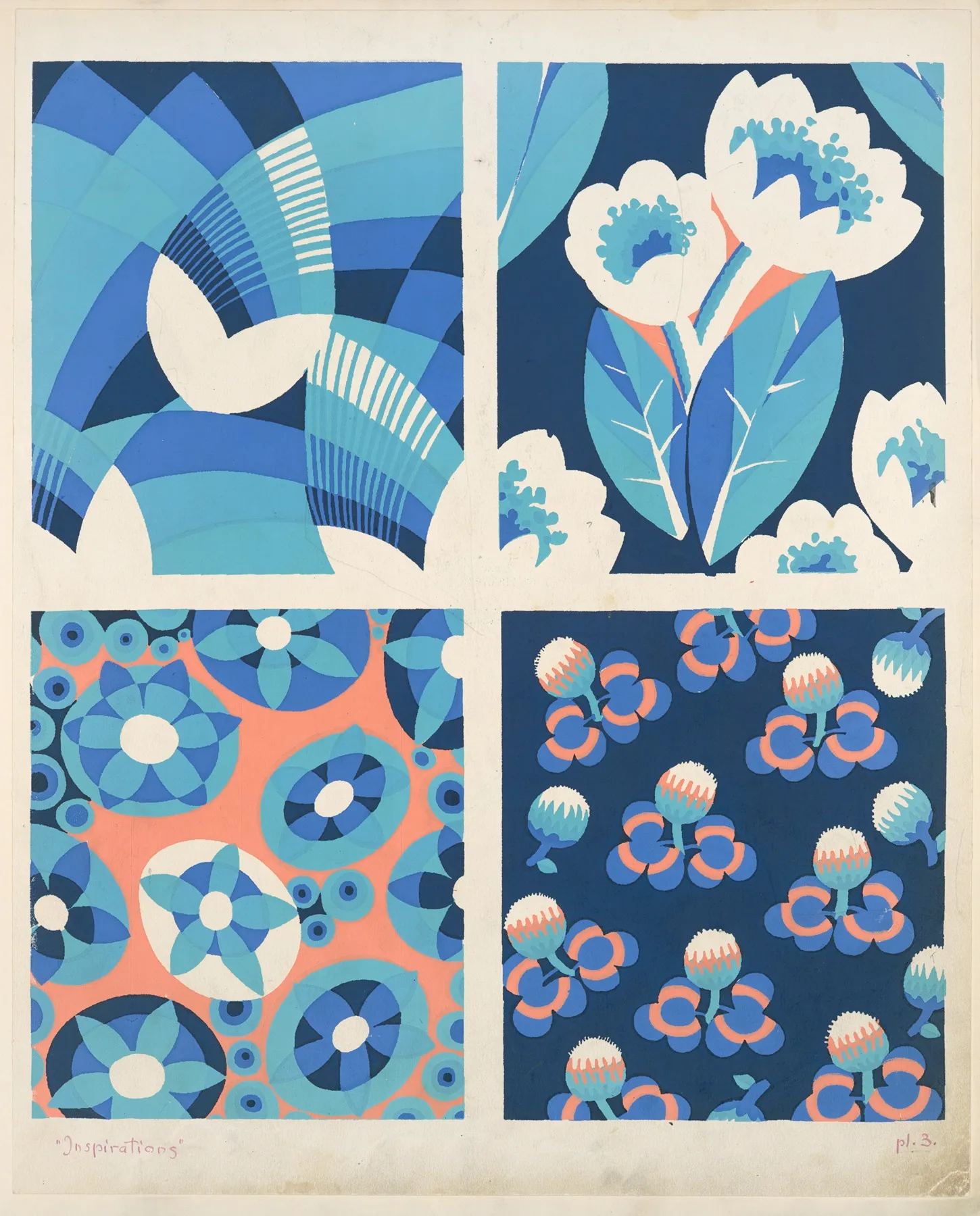 Four Plant Form Compositions 3 by André Durenceau - Canvas Print