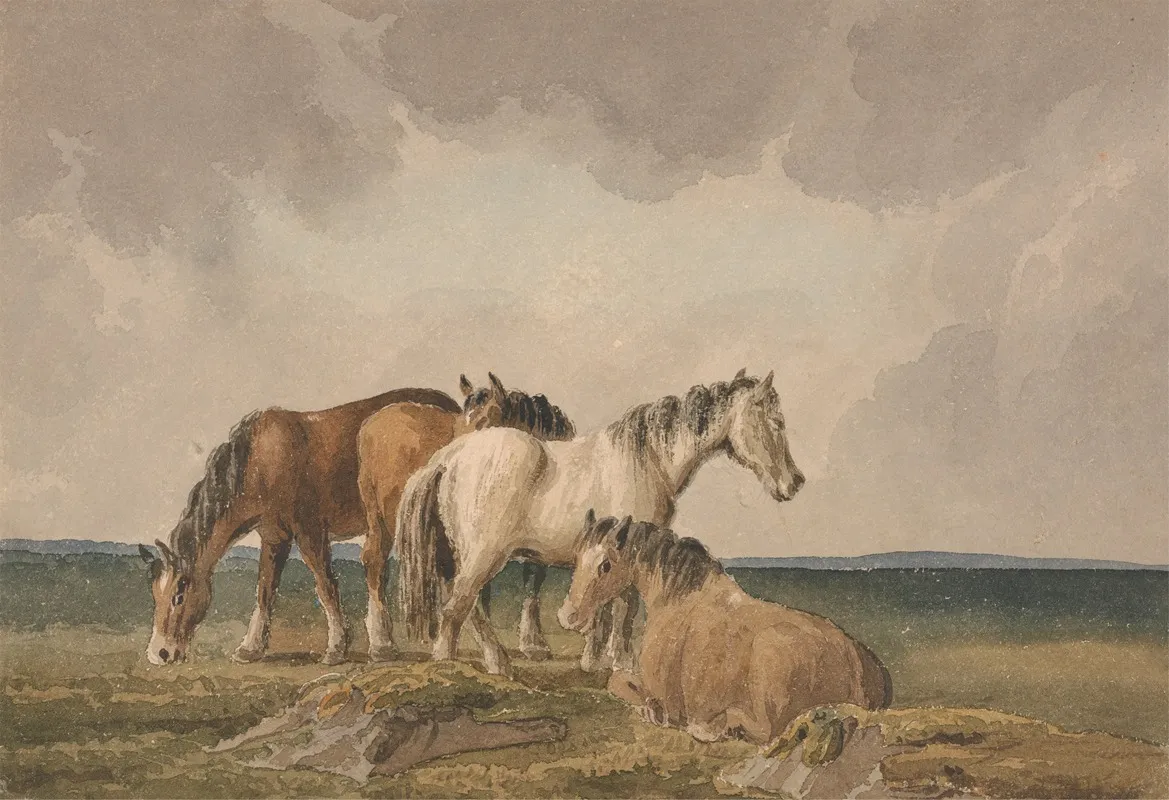 Four Ponies On A Welsh Moor