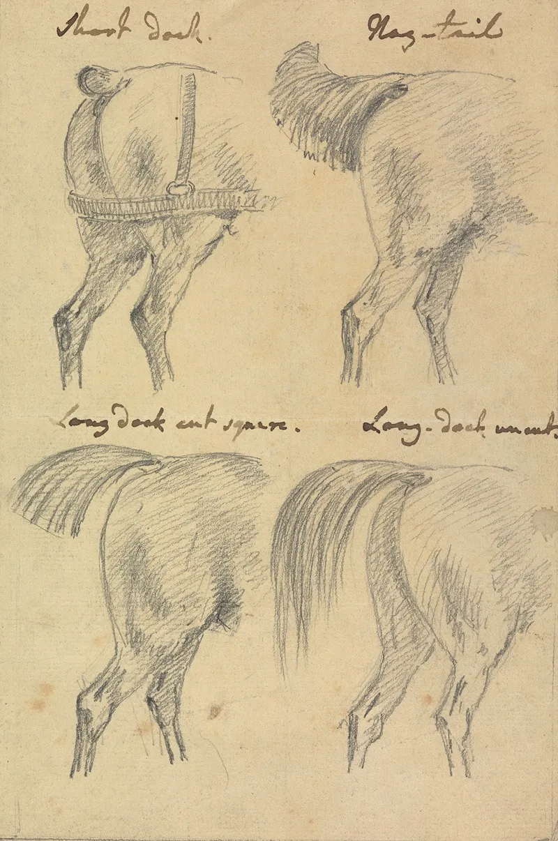 Four Sketches Of Horse Tails
