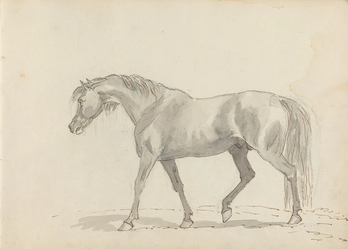 Fourty Three Studies Of Horses And Riders Pl 10