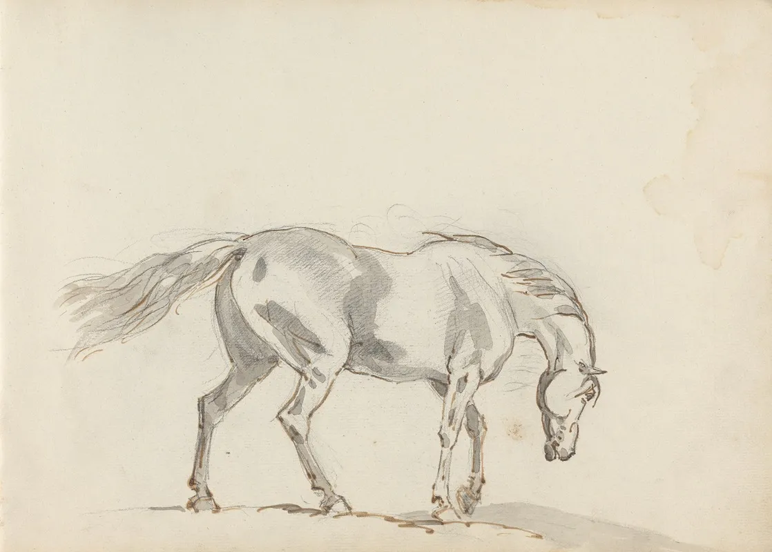 Fourty Three Studies Of Horses And Riders Pl 12