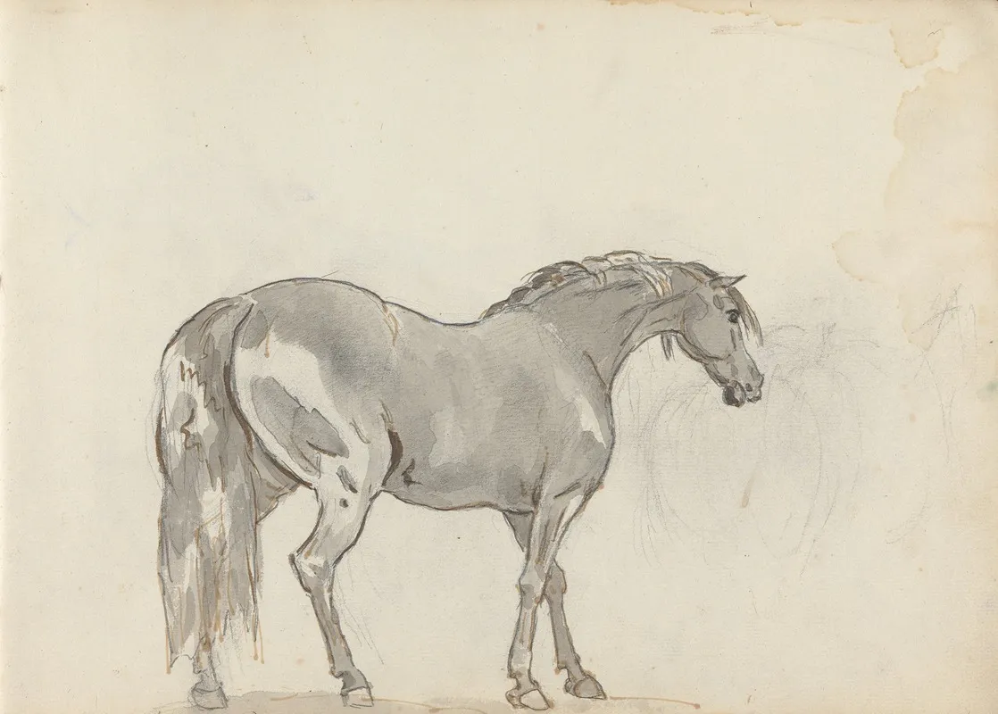 Fourty Three Studies Of Horses And Riders Pl 13