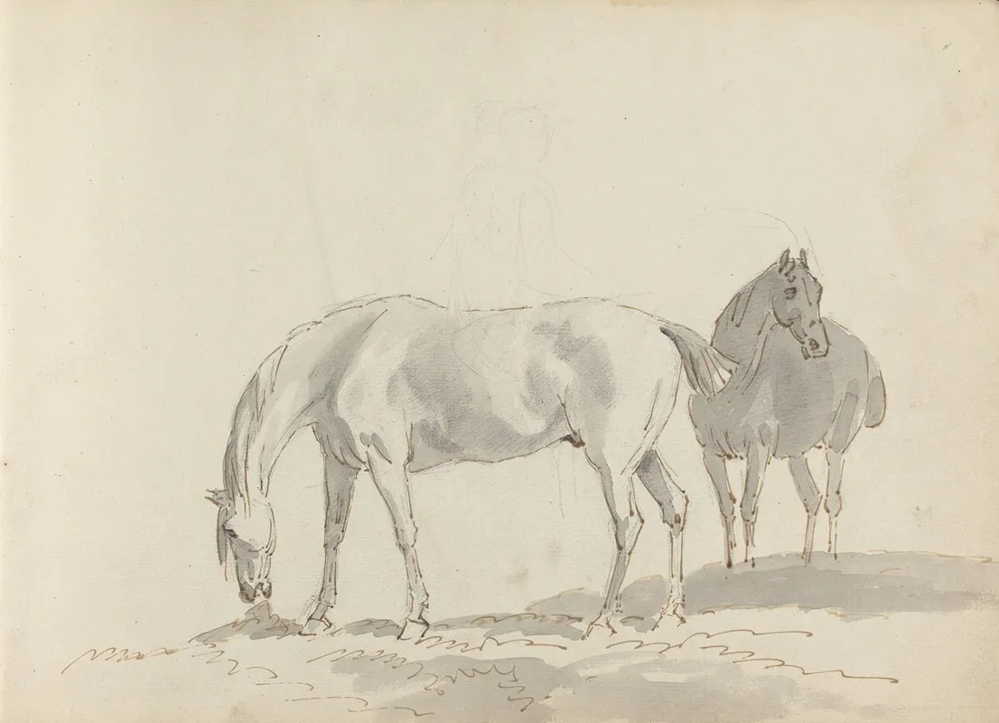 Fourty Three Studies Of Horses And Riders Pl 19