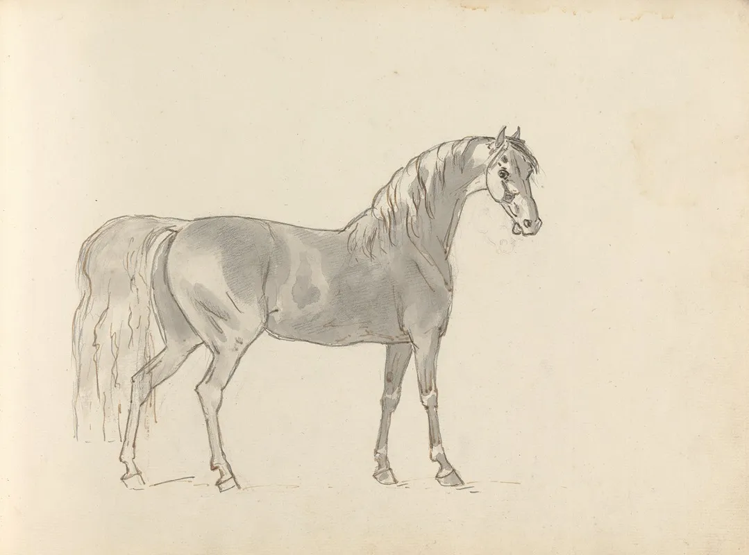 Fourty Three Studies Of Horses And Riders Pl 31