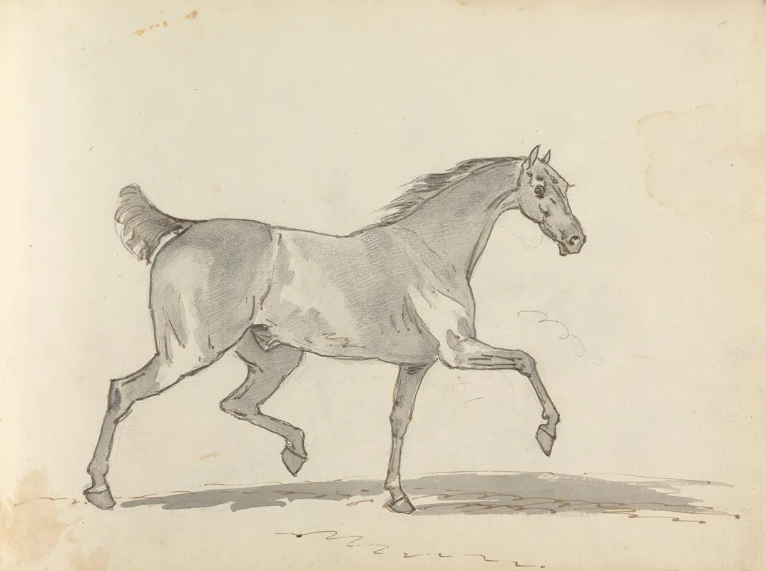Fourty Three Studies Of Horses And Riders Pl 34