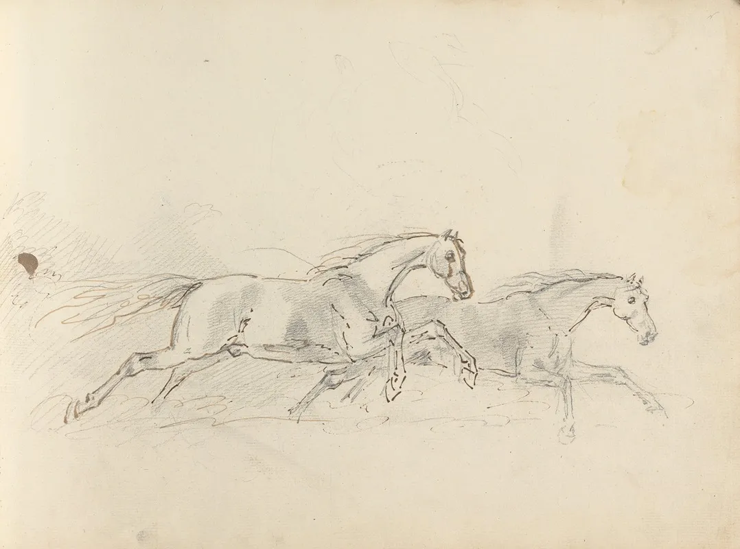 Fourty Three Studies Of Horses And Riders Pl 37