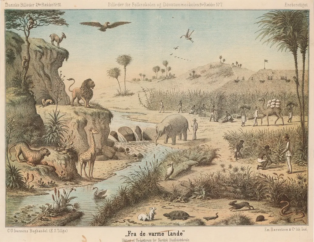 Fra De Varme Lande by Emil Bærentzen - Canvas Print