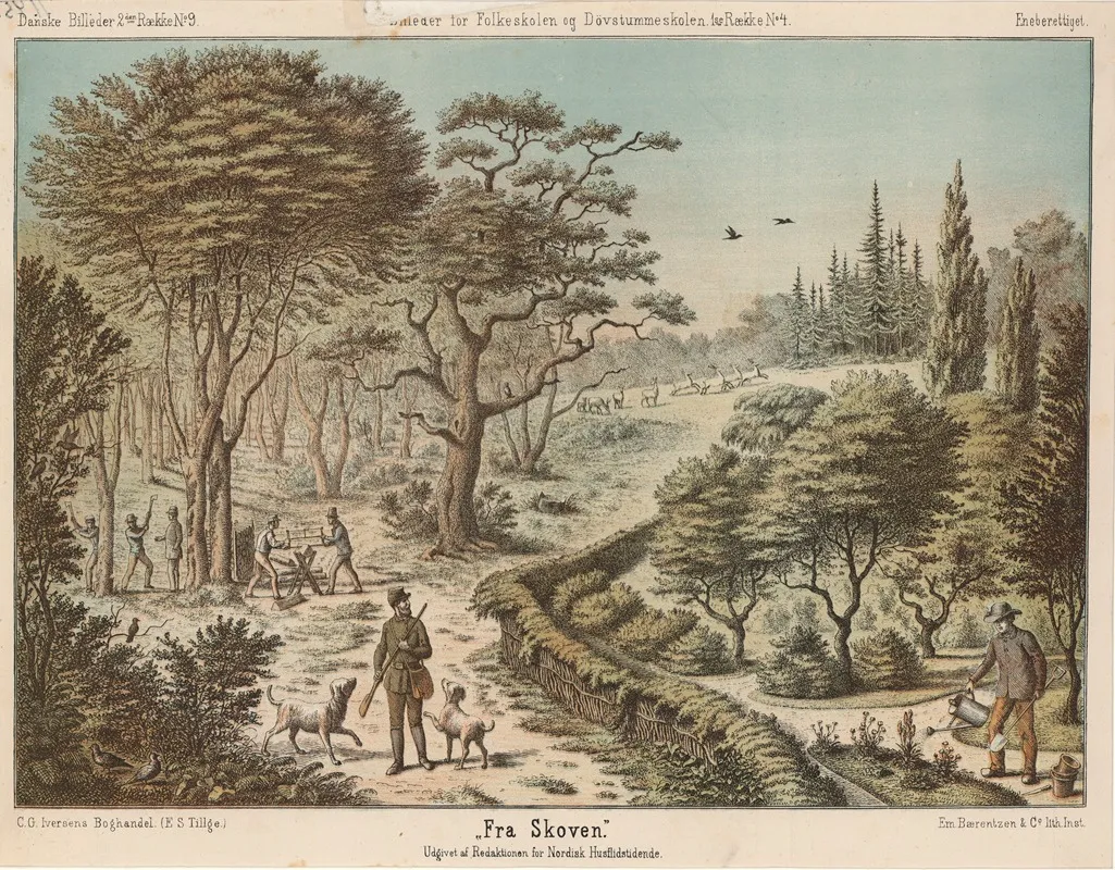 Fra Skoven by Emil Bærentzen - Canvas Print