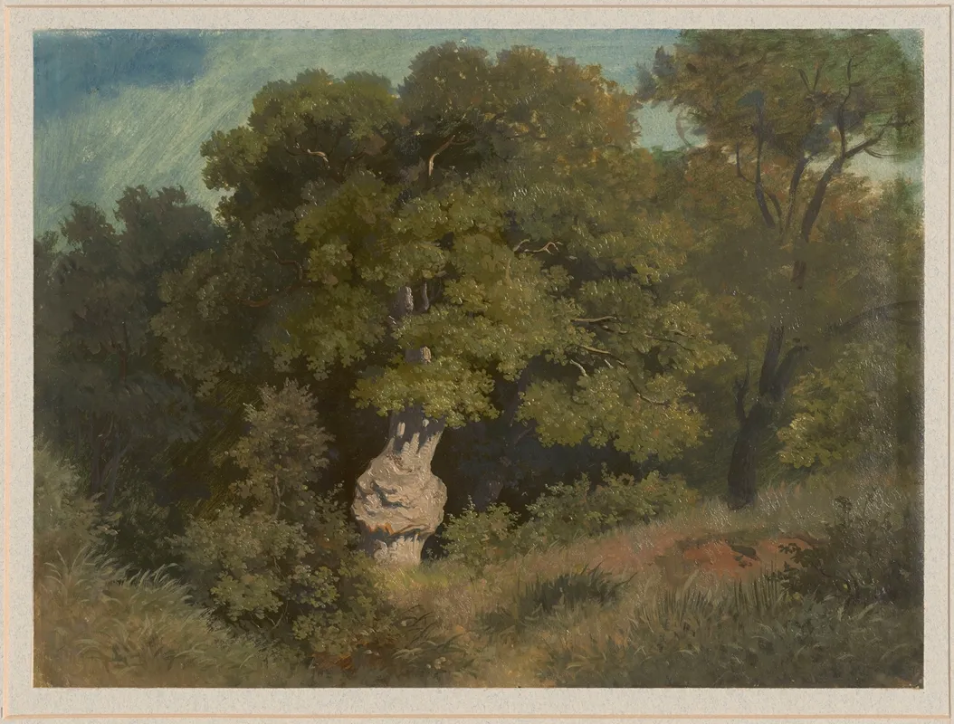 Fragment Of A Forest