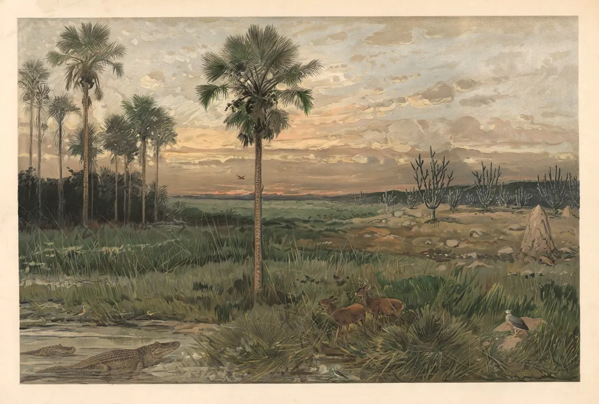 From Llanos