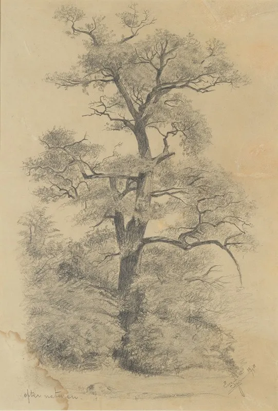From Nature