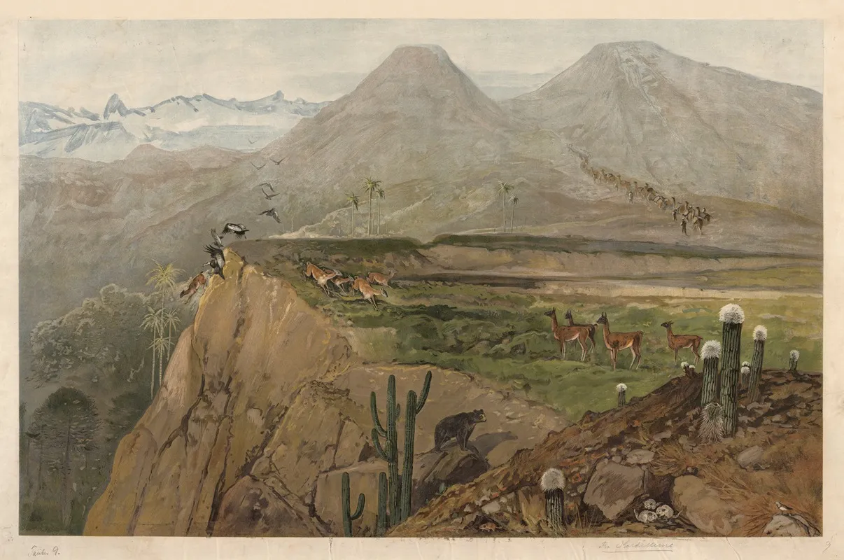 From The Cordilleras